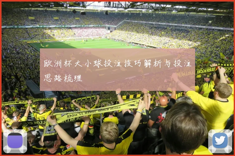 欧洲杯大小球投注技巧解析与投注思路梳理