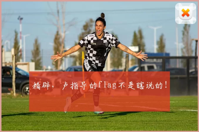 精辟，卢指导的flag不是瞎说的！