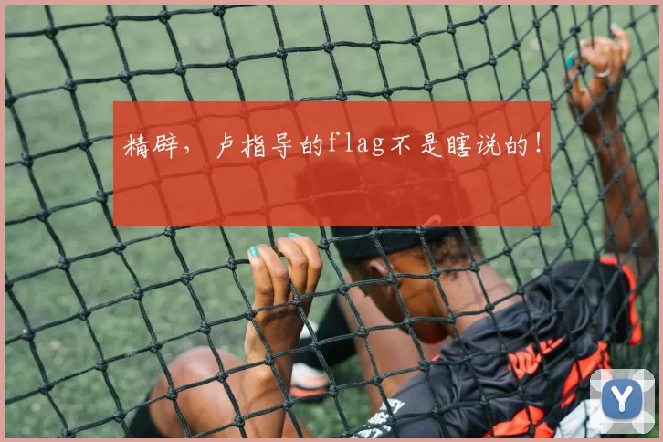 精辟，卢指导的flag不是瞎说的！