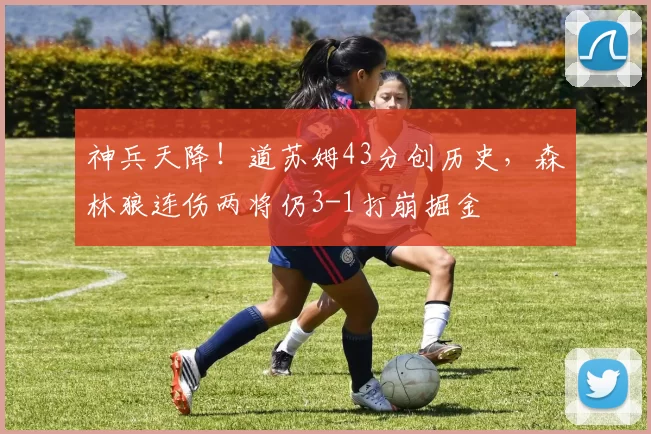 神兵天降！道苏姆43分创历史，森林狼连伤两将仍3-1打崩掘金